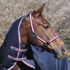 Zilco Defender Halter