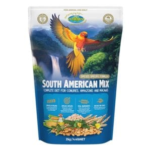 South American Mix
