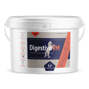 Digestive Daily Balancer