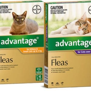 Advantage Flea Treatment for Cats 4pack