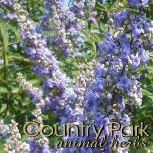 Country Park Chastetree Berries 1kg