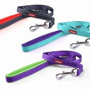 Kazoo Active Dog Leads