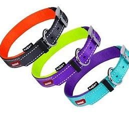 Kazoo Dog Collar Active Range