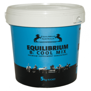 Equilibrium B1 Cool Mix
