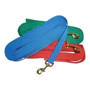 Eureka Nylon Lunge Lead