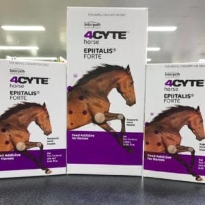 4CYTE Equine Epiitalis Forte Gel