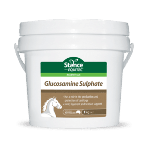 Stance-Equitec Glucosamine Sulphate