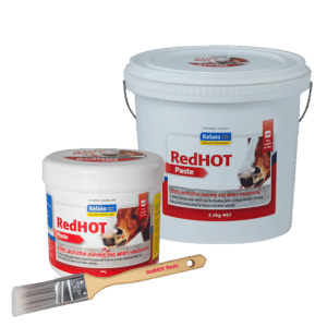 Kelato RedHOT Paste