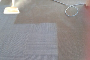 wagga-all-clean-20150210_084445