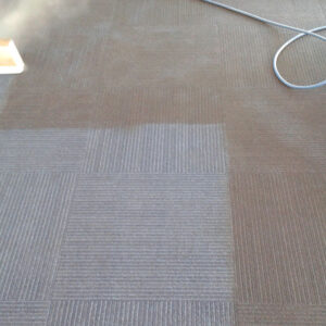 wagga-all-clean-20150210_084445