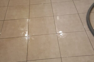 wagga-all-clean-20150803_100207-(1)