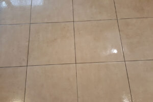 wagga-all-clean-20150803_100224-(1)