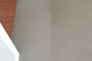 wagga-all-clean-20150919_094125-(1)