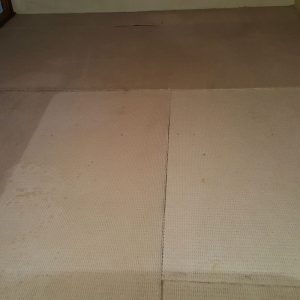 wagga-all-clean-20151021_120259-(1)