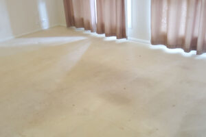 wagga-all-clean-20151222_091751