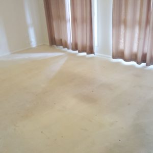 wagga-all-clean-20151222_091751