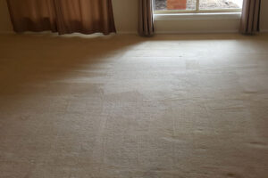 wagga-all-clean-20151222_101512-(1)