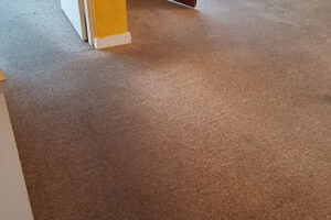 wagga-all-clean-20160719_081103