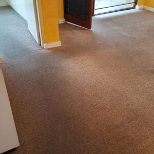 wagga-all-clean-20160719_081103