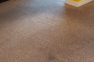 wagga-all-clean-20160719_081137