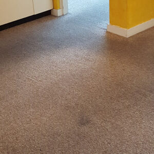 wagga-all-clean-20160719_081137