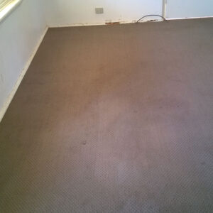 wagga-all-clean-WP_20140704_002