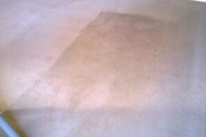 wagga-all-clean-WP_20140704_004