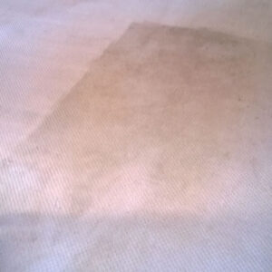 wagga-all-clean-WP_20140704_004