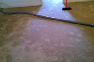 wagga-all-clean-WP_20140810_001