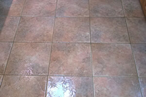 wagga-all-clean-WP_20141118_003