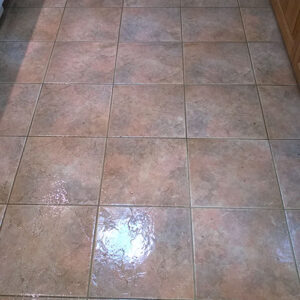 wagga-all-clean-WP_20141118_003