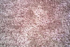 wagga-all-clean-WP_20141119_001