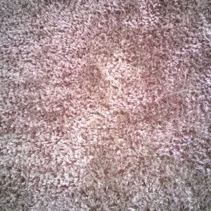 wagga-all-clean-WP_20141119_001