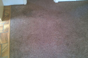 wagga-all-clean-WP_20141218_001