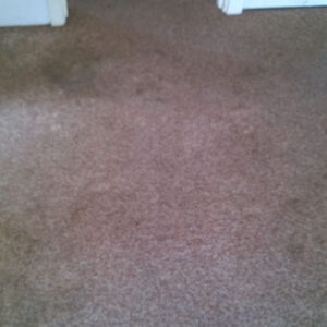 wagga-all-clean-WP_20141218_001