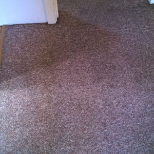 wagga-all-clean-WP_20141218_005