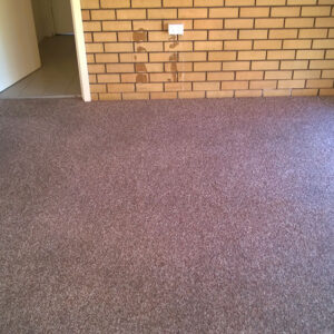 wagga-all-clean-WP_20141223_002