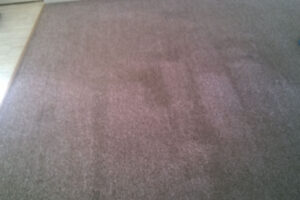 wagga-all-clean-WP_20150112_002