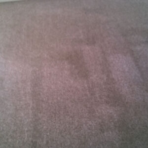 wagga-all-clean-WP_20150112_002