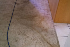 wagga-all-clean-WP_20150119_001