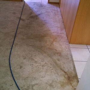 wagga-all-clean-WP_20150119_001