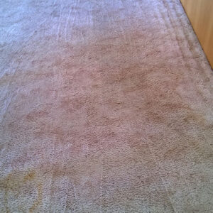 wagga-all-clean-WP_20150119_002