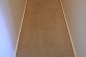 wagga-all-clean-WP_20150304_001