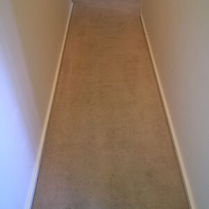 wagga-all-clean-WP_20150304_001