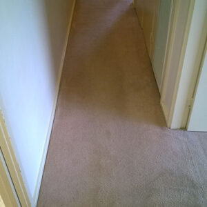 wagga-all-clean-WP_20150304_008