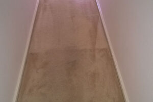 wagga-all-clean-WP_20150304_018