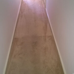 wagga-all-clean-WP_20150304_018