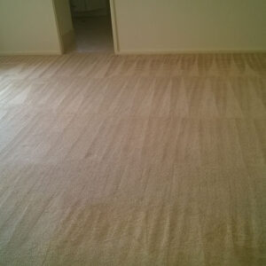 wagga-all-clean-WP_20150304_028