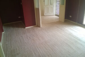 wagga-all-clean-WP_20150304_029