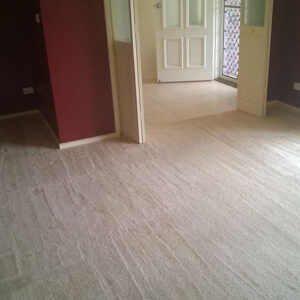 wagga-all-clean-WP_20150304_029